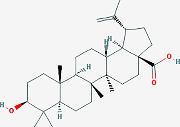 graphic file with name fphar-11-00147-g028.jpg
