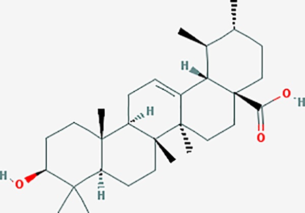 graphic file with name fphar-11-00147-g029.jpg
