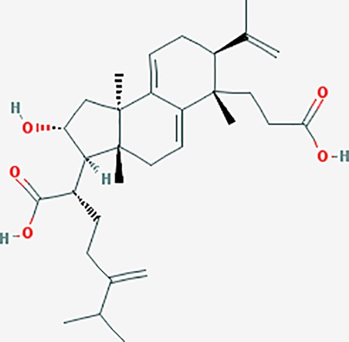 graphic file with name fphar-11-00147-g026.jpg