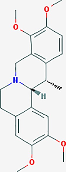 graphic file with name fphar-11-00147-g041.jpg