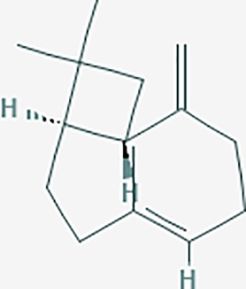 graphic file with name fphar-11-00147-g038.jpg