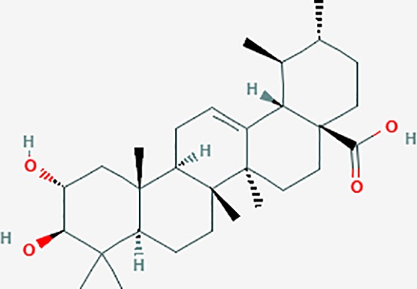graphic file with name fphar-11-00147-g021.jpg