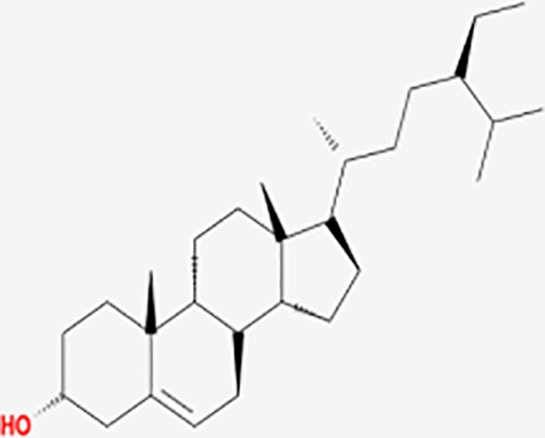 graphic file with name fphar-11-00147-g012.jpg