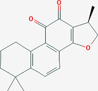 graphic file with name fphar-11-00147-g024.jpg