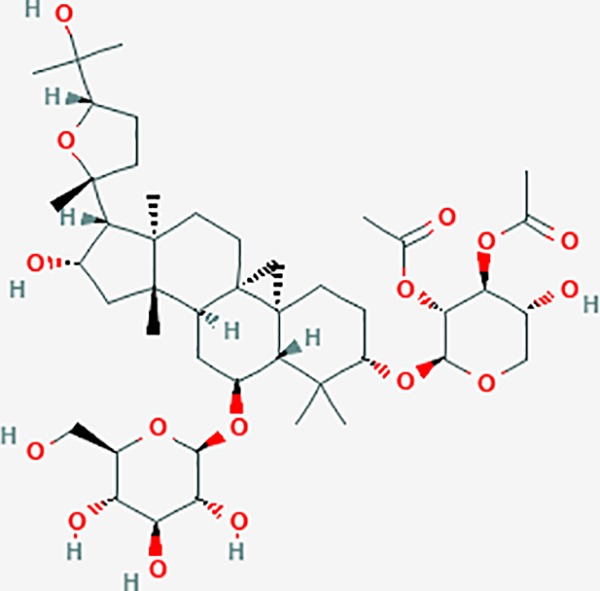 graphic file with name fphar-11-00147-g053.jpg