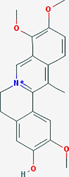 graphic file with name fphar-11-00147-g044.jpg