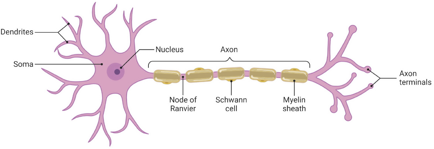 Fig. 1: