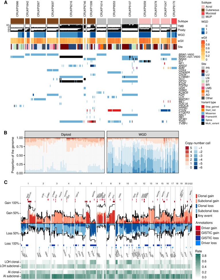 Figure 1. Driver mutations and SCNA overview. A, Genomic landscape of the cohort, illustrating mutations in key melanoma driver genes, TMB (total mutations/Mb), ploidy, WGD status, weighted genome instability index (wGII, an SCNA burden metric), and the anatomic site of each sample. “Multi-variant” indicates the presence of more than one variant in the same gene within one sample. Panel and WES samples are included. AD, adrenal; BR, brain; LI, liver; LMS, leptomeninges; LN, lymph node; LU, lung; PE, peritoneum; PR, primary; ST, soft tissue. B, The proportion of the genome altered by copy-number gains and losses per sample in diploid and WGD tumor samples. C, The frequency of copy-number gains and losses along the genome (based on WES data only). Dark red and blue indicate clonal events, and light red and blue indicate subclonal events. Also shown are frequency of clonal and subclonal LOH and AI.