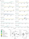 Figure 2. A, Phylogenies inferred for the 14 patients. Only WES samples are included. Letters in brackets indicate melanoma subtype: A = acral, C = cutaneous, M = mucosal, U = melanoma of unknown primary. Branch length is proportional to the number of mutations. Branch colors represent the mutational signatures of the mutations. For clarity, only the most common mutational signatures are shown; the remainder are categorized as “unknown.” Scale bars indicate the number of mutations. The legend includes etiologies for each signature (24). MMR, mismatch repair. B, Boxplots indicate the ratio of subclonal mutations (length of branches) to clonal mutations (length of the trunk) by subtype and chemotherapy status. Values smaller than zero indicate the dominance of truncal mutations. Mann–Whitney U test was used for statistical comparisons (**, P < 0.01; ***, P < 0.001). Cut., cutaneous; mut., mutation.