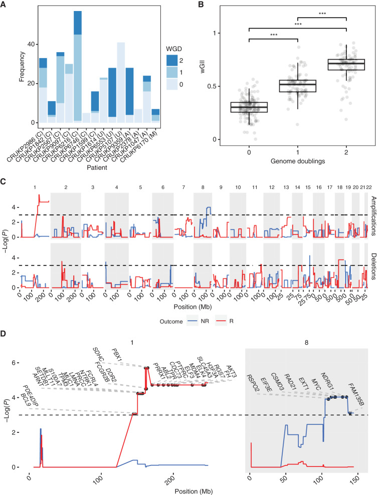 Figure 5. Tissue-level amplifications and deletions associated with response to ICI. A large proportion of samples underwent WGD (A), with successive WGD events associated with increasing wGII (B). Letters in brackets indicate melanoma subtype: A = acral, C = cutaneous, M = mucosal, U = melanoma of unknown primary. ***, P < 0.001. GISTIC permutation analysis (C) associated MYC amplification (chromosome 8q) with a nonresponsive phenotype, as well as chromosome 1 amplification with a responsive phenotype. Horizontal black dashed lines in top two panels of C indicate significance (P < 0.05). NR, nonresponse; R, response. D, Significant amplifications on chromosomes 1 and 8 from C with COSMIC genes labeled.