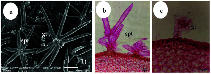 Figure 9
