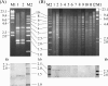 FIG. 2.