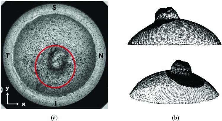 Fig. 10