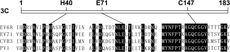 FIG 3