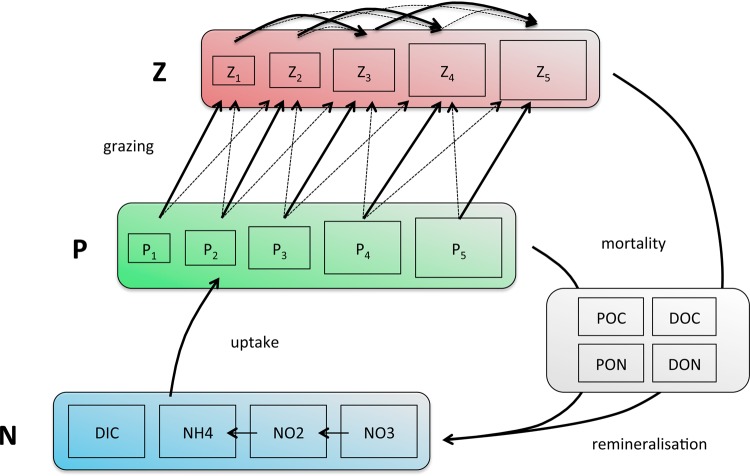 Fig. 3.