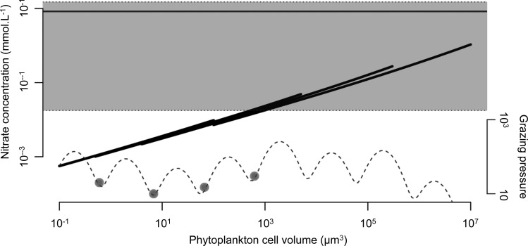 Fig. 9.