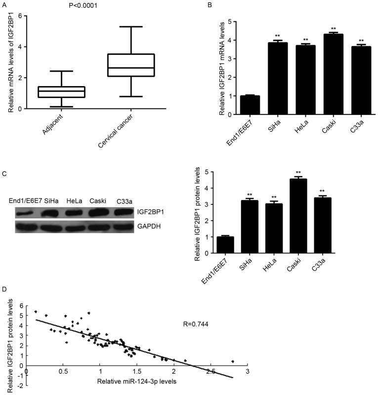 Figure 4.