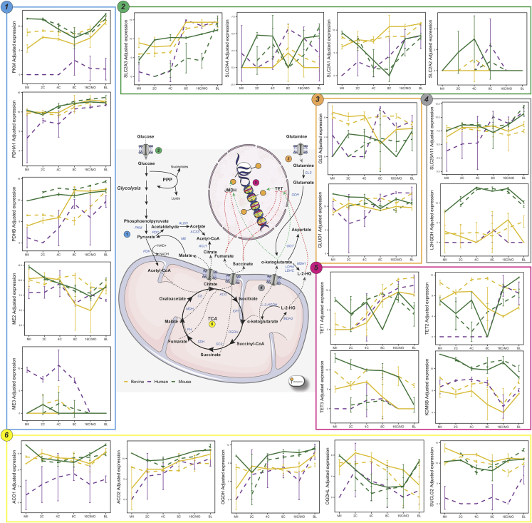 Figure 4