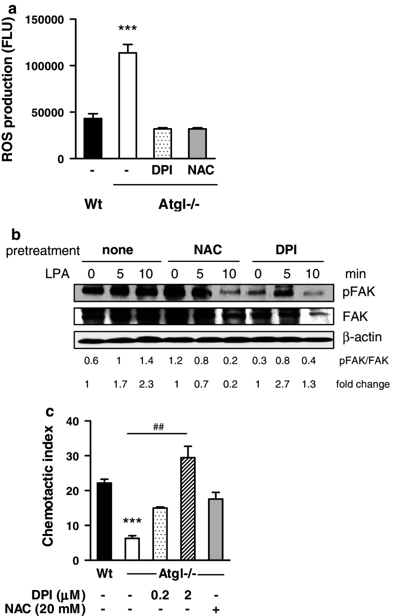 Fig. 7