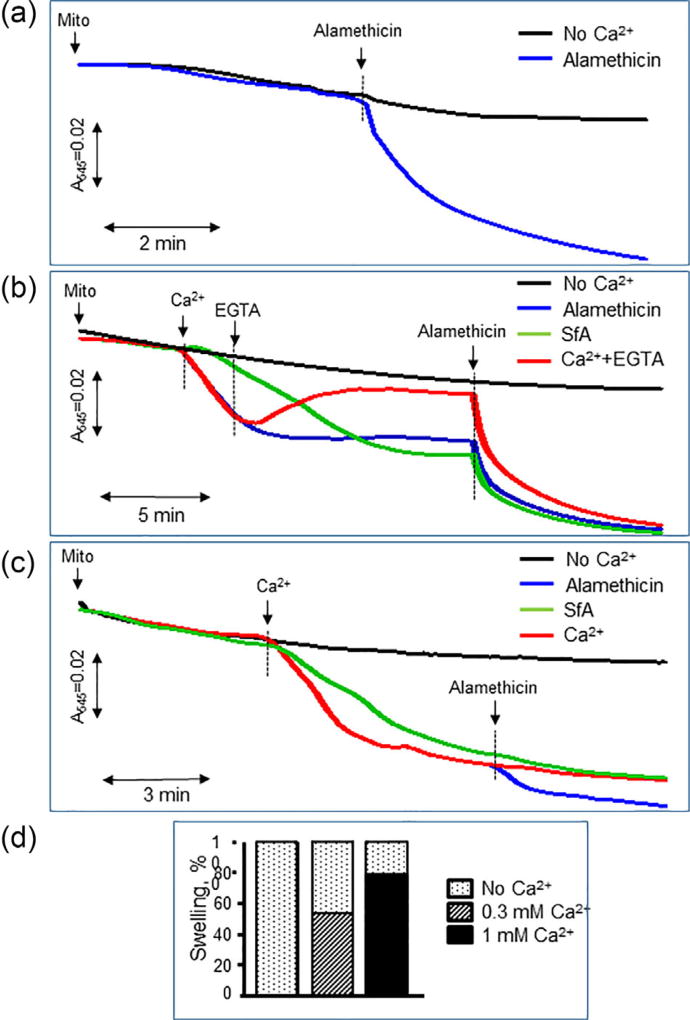 FIGURE 4