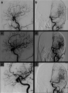 Fig. 8
