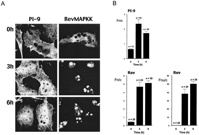 FIG. 6