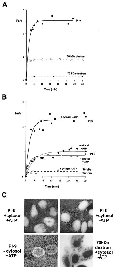 FIG. 5