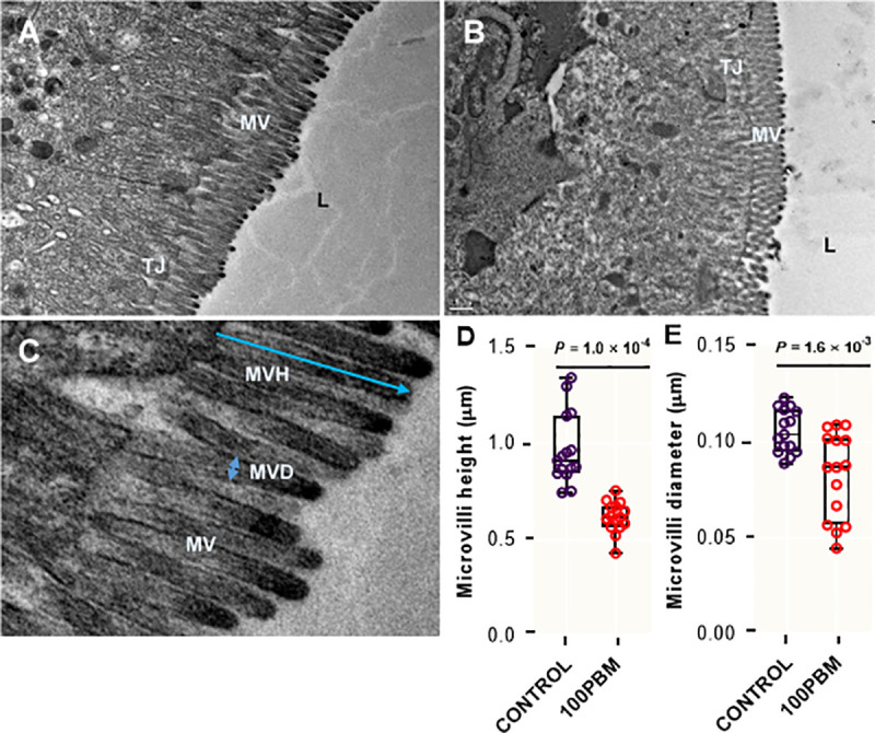 Fig 3