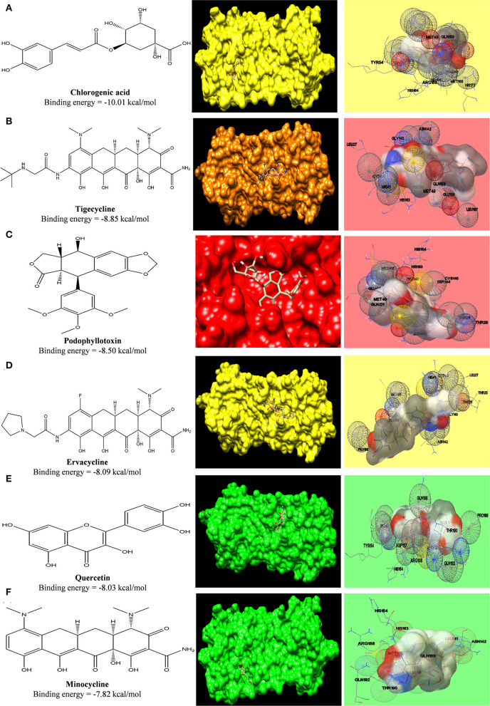 Figure 10