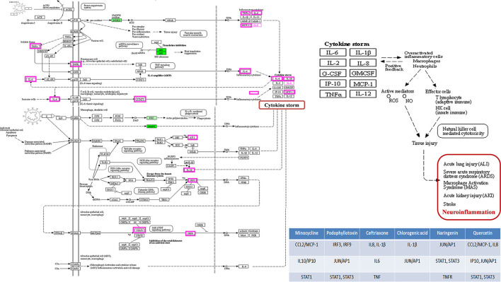 Figure 14