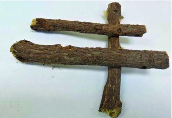 Fig. 3