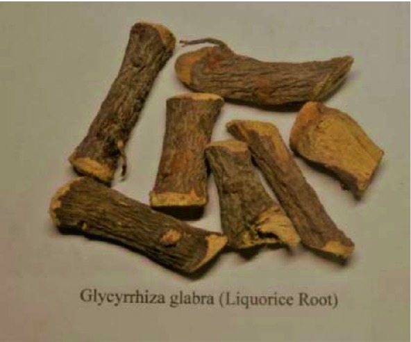 Fig. 2