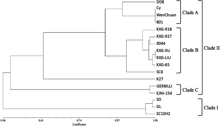 Fig. 2