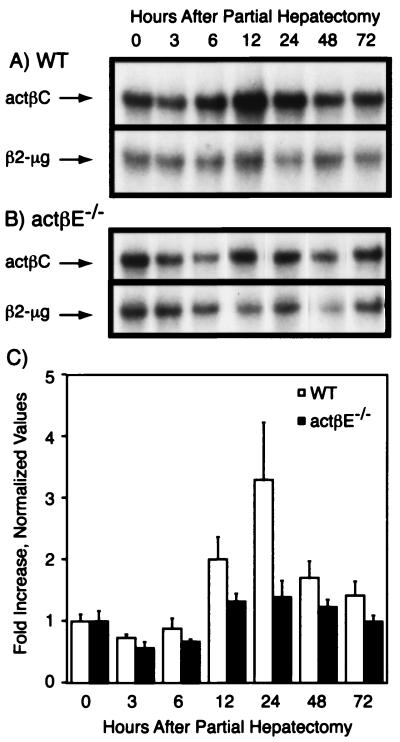 FIG. 5