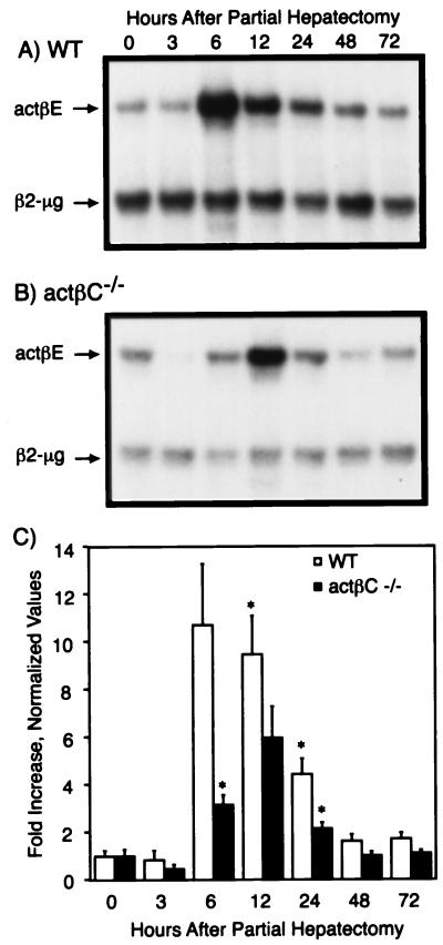 FIG. 6