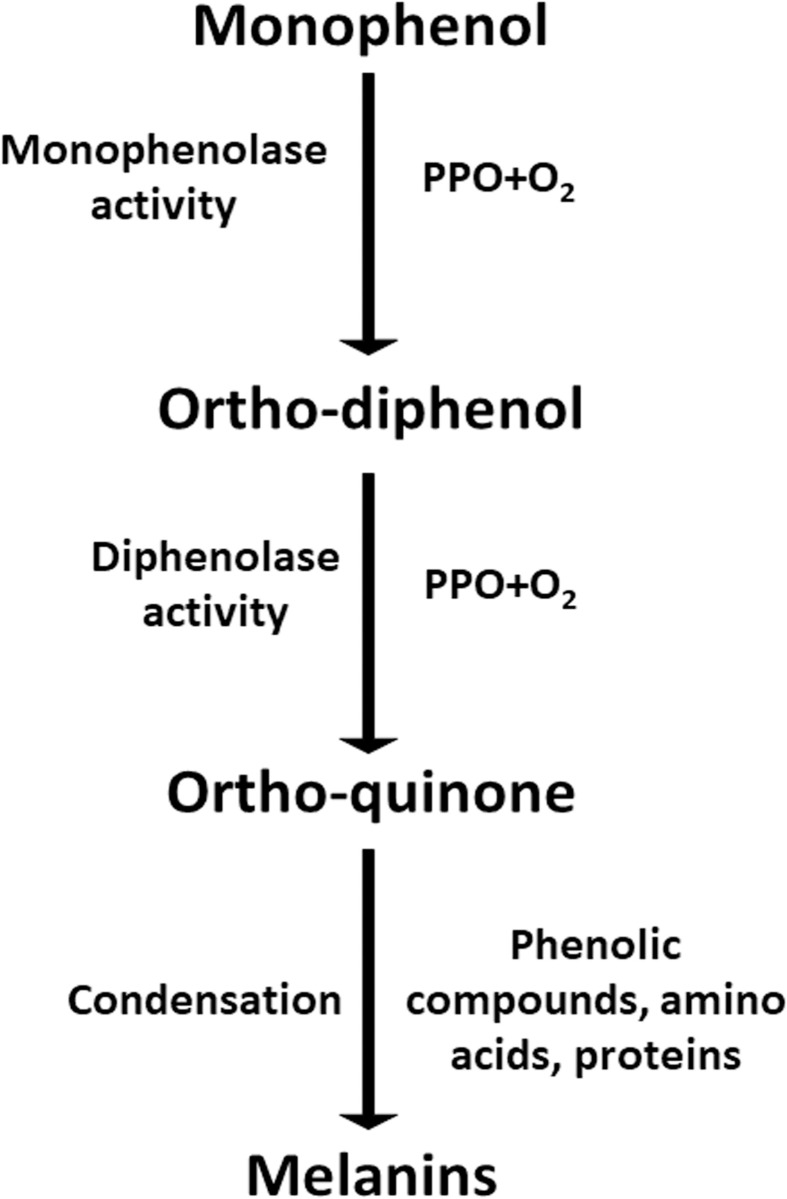 Fig 5