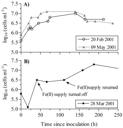 FIG. 2.