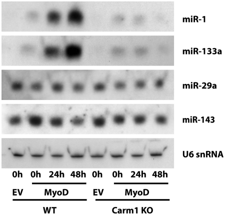 Figure 5.