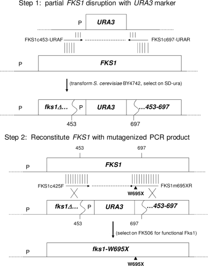 Fig. 2.