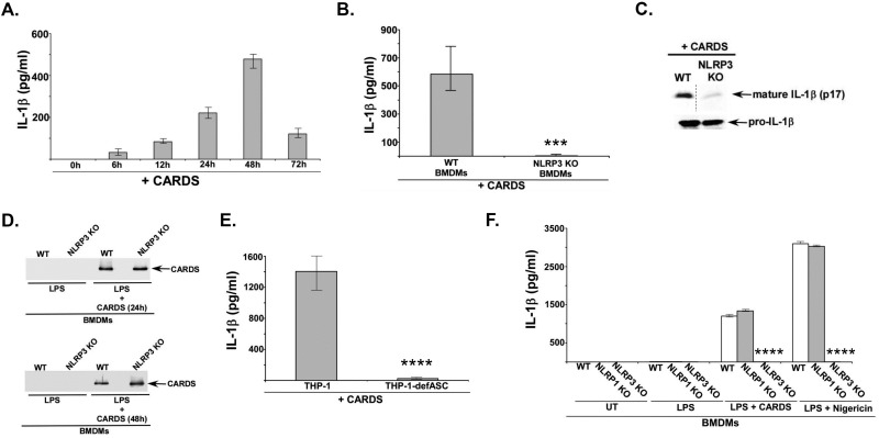 FIG 1 