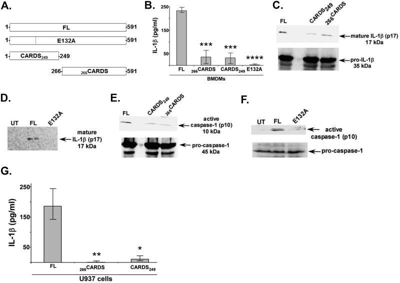 FIG 2 