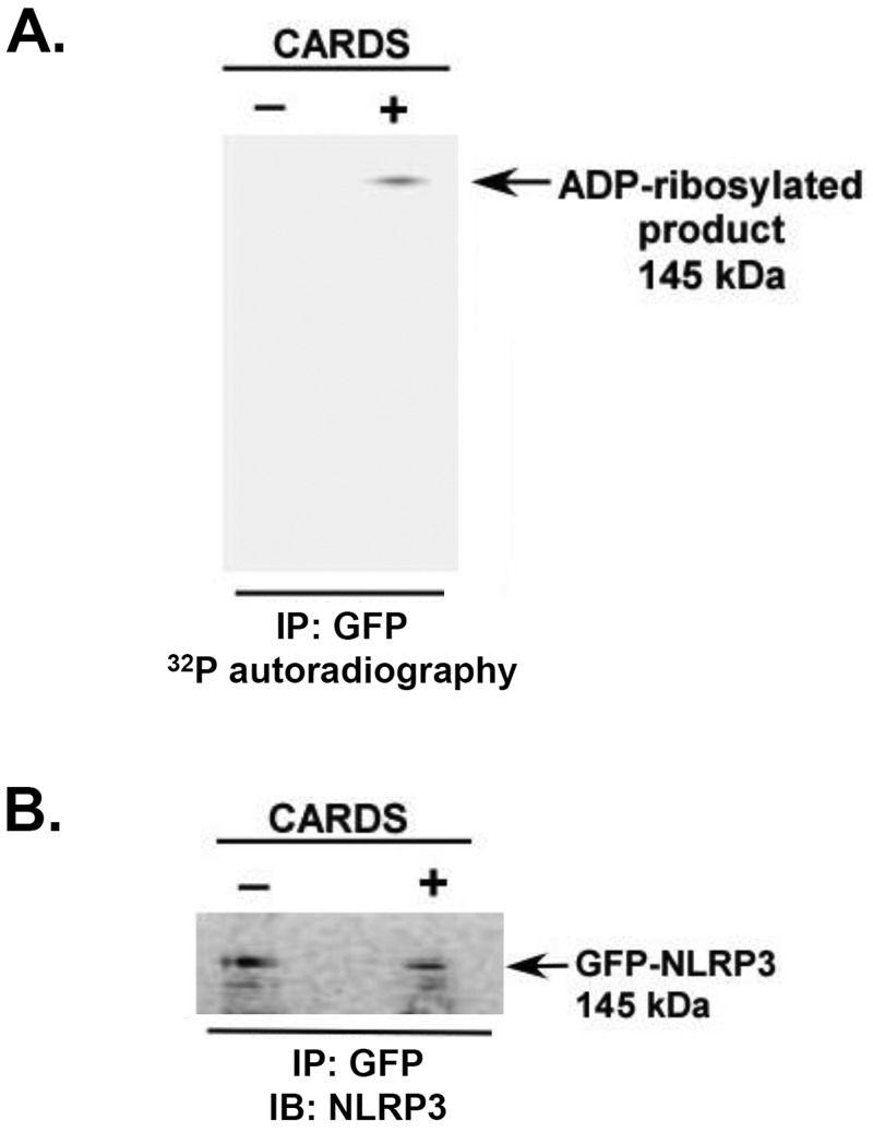 FIG 5 