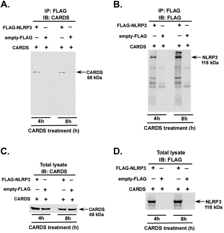 FIG 4 