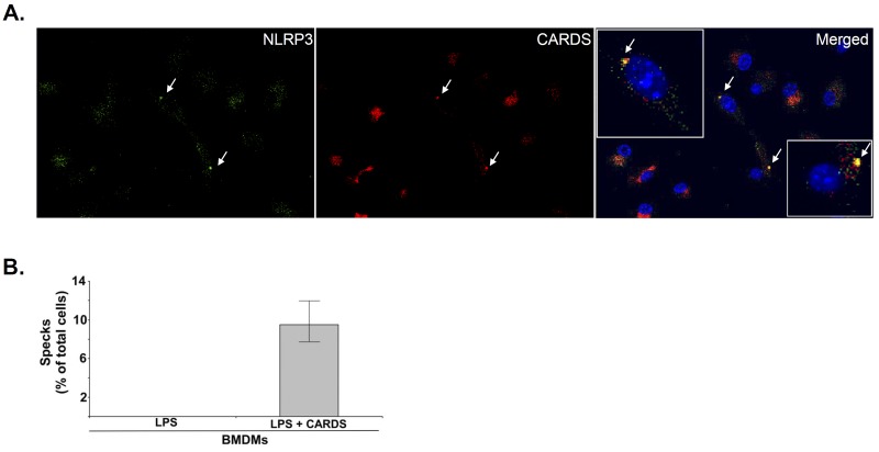 FIG 3 