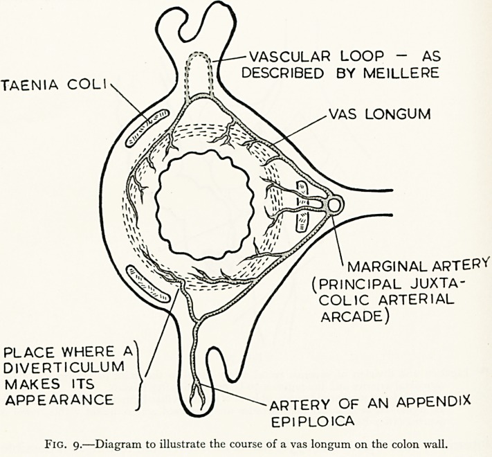 Fig. 9.