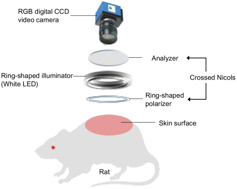 Fig. 2.