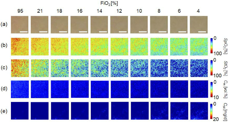 Fig. 14.