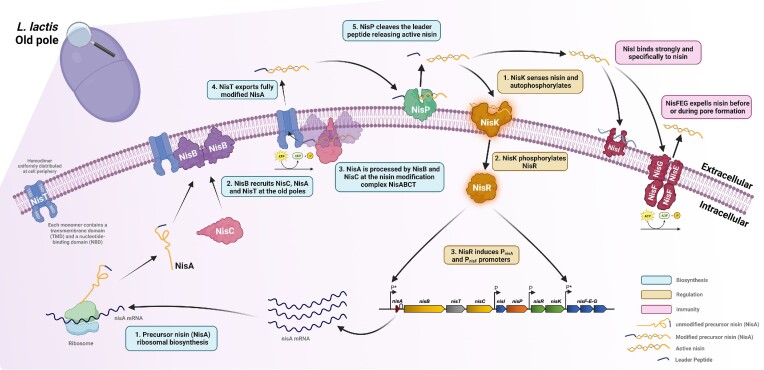 Figure 1.