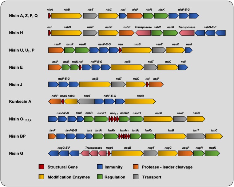 Figure 3.