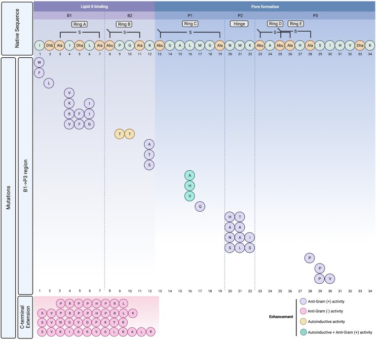 Figure 4.